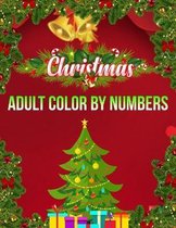 Christmas Adult Color By Numbers