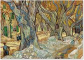 Graphic Message - Peinture sur toile - Grands platanes - Vincent van Gogh - Art - Arbres