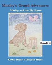 Marley and the Big Storm