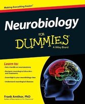 Neurobiology For Dummies