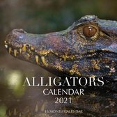Alligators Calendar 2021