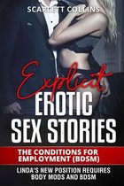 Explicit Erotic Sex Stories: The Conditions for Employment (BDSM)