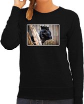 Dieren sweater met panters foto - zwart - voor dames - natuur / zwarte panter cadeau trui - kleding / sweat shirt 2XL