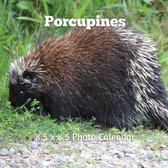 Porcupines 8.5 X 8.5 Calendar September 2021 -December 2022