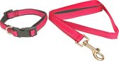 Honden Halsband met uitlaatriem - Hondentuig met reflector - Leiband -  Wandelen - Uitlaten - Medium honden - Uitlaatriem 100 cm - Halsband 33 - 50 cm - Roze