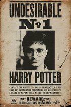 Harry Potter poster - Wanted - Undesirable No 1 - gezocht - wizard - magic - 61 x 91.5 cm