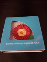 Sample flower-Chrysanthemum