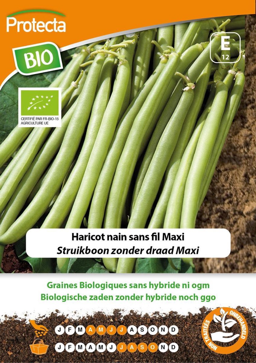 Protecta Groente zaden: Struikboon zonder draad Maxi Biologisch