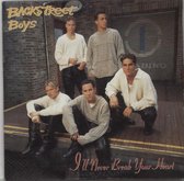 Backstreet Boys - I'll never break your heart (cd single)