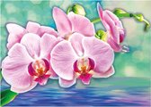 BWK Diamond Paintings - Roze Orchideeën  - 40x30cm(35x25cm) - Volledig pakket - Diamond Painting met Ronde Steentjes