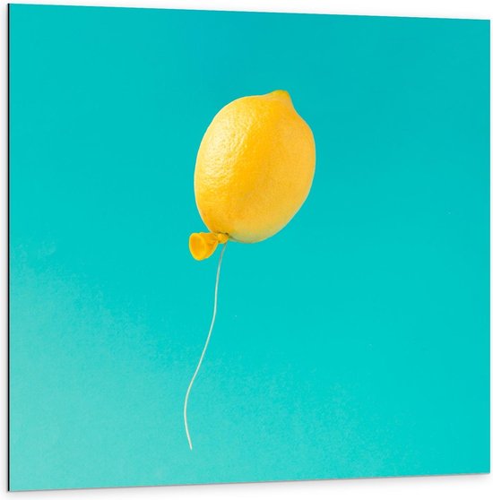Dibond - Citroen Ballon - 100x100cm Foto op Aluminium (Met Ophangsysteem)