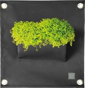 Plantenbak The Blooming Walls The Green Pockets AMMA1 - Zwart (Antraciet Grijs)