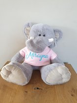 Knuffel met naam [Geboorte cadeau] [Knuffel olifant 45cm] [Kraamcadeau]  [Baby knuffel]... | bol.com
