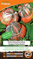 Protecta Groente zaden: Pompoen Turkse Mutsen