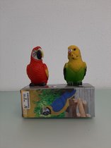 Decoratieve grasparkiet en papagaai
