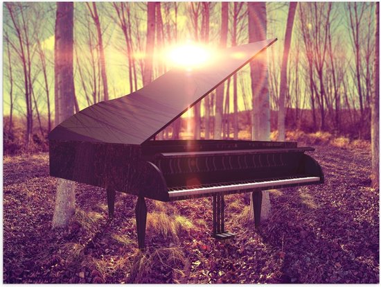 Poster – Zwarte Piano in Zonnig Bos - 40x30cm Foto op Posterpapier