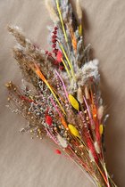 Droogbloemen Fleurig Boeket 75 cm |zomer multi kleur combinatie | Mixed Sunny Colors Dry Flowers | Pampas gras| Pampas pluimen