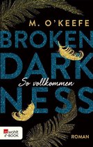 Broken-Darkness-Serie 2 - Broken Darkness: So vollkommen
