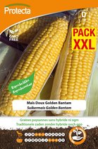 Protecta Groente zaden: Suikermais Golden Bantam XXL