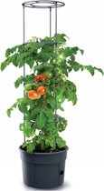 Prosperplast Vorstbestendige tomatenpot Tomatenteler IPOM300