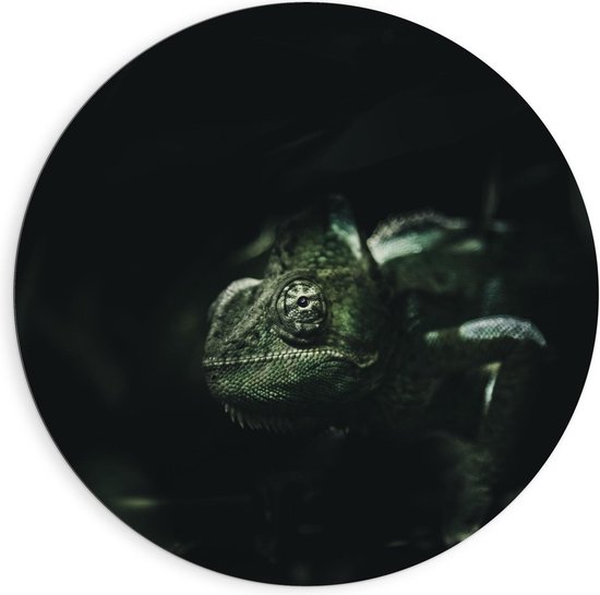 Dibond Wandcirkel - Groene Kameleon in donkere Ruimte - 90x90cm Foto op Aluminium Wandcirkel (met ophangsysteem)