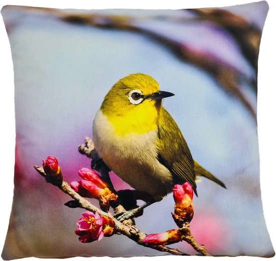 Decolenti – Spring Bird – Sierkussenhoes – Geel - Blauw - Roze - Bruin - 45cm x 45cm