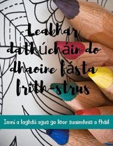 Leabhar dathúcháin do dhaoine fásta frith-strus Imní a laghdú agus go leor suaimhnis a fháil: Méid Móra 8.5 "x 11", 100 íomhá éagsúil de bhláthanna, a