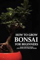 How To Grow Bonsai For Beginners: Basic Instructions And Effective Care Methods