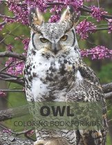 Owl Coloring Book for Kids