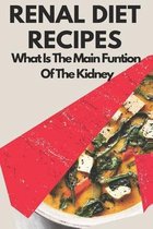 Renal Diet Recipes: What Is The Main Function Of The Kidney