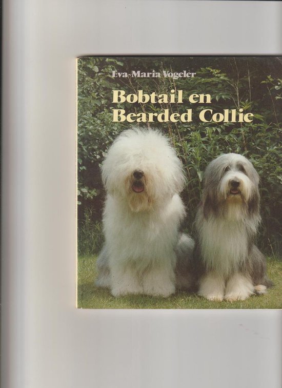Bobtail en bearded collie - cover