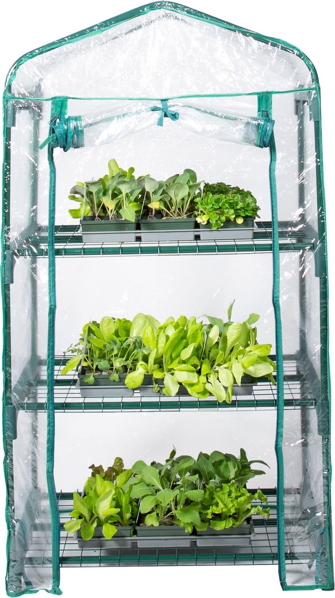 Zindoo Kweekkas Tuinkas 130 cm hoog 3 Lagen Broeikas Tuinieren Hobbykas Tomatenplant