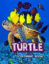 Turtle Coloring Book