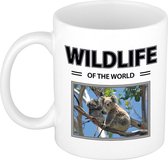 Koala mok met dieren foto wildlife of the world