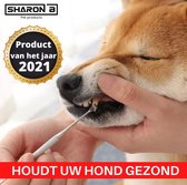 Pro3000 Tandsteen verwijderaar hond - Set van 2 - Staal - Tandplak