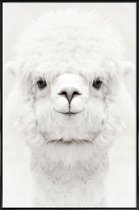 JUNIQE - Poster in kunststof lijst Lachende Alpaca -40x60 /Wit