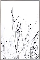 JUNIQE - Poster met kunststof lijst Black Grass -30x45 /Wit & Zwart