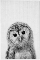 JUNIQE - Poster met kunststof lijst Uil zwart-wit foto -13x18 /Grijs &