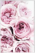 JUNIQE - Poster in kunststof lijst Roze rozen foto -30x45 /Roze