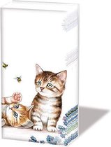 Ambiente Cats And Bees papieren zakdoeken - 1 pakje