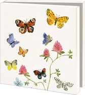 Kaartenmapje met env, vierkant: Vlinders, Alice Appleton