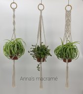 Macramé plantenhanger - set van 3 - macrame - macrame wanddecoratie - macrame touw - 3 stuks -  stijl hanger - Bloempotten