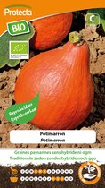 Protecta Groente zaden: Potimarron Pompoen Biologisch
