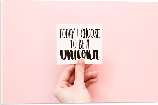 Acrylglas - ''Today I Choose To Be A Unicorn'' op Roze Achtergrond  - 60x40cm Foto op Acrylglas (Met Ophangsysteem)