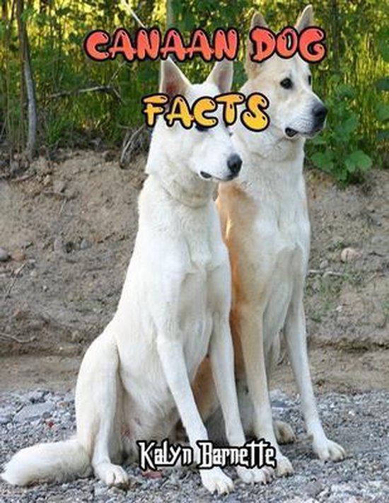 Canaan Dog Facts 9798712578054 Kalyn Boeken