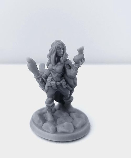 Thumbnail van een extra afbeelding van het spel 3D Printed Miniature - Thief Female 01 - Dungeons & Dragons - Hero of the Realm KS