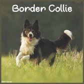 2022 Border Collie Calendar
