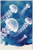 JUNIQE - Poster in kunststof lijst Jellyfish -30x45 /Blauw & Wit