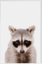 JUNIQE - Poster in kunststof lijst Raccoon -20x30 /Grijs & Zwart