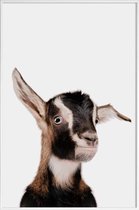 JUNIQE - Poster met kunststof lijst Goat -13x18 /Bruin & Wit